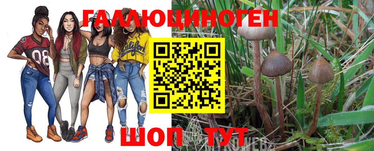 Галлюциногенные грибы MAGIC MUSHROOMS  даркнет сайт  Великий Новгород  Вход с VPN 